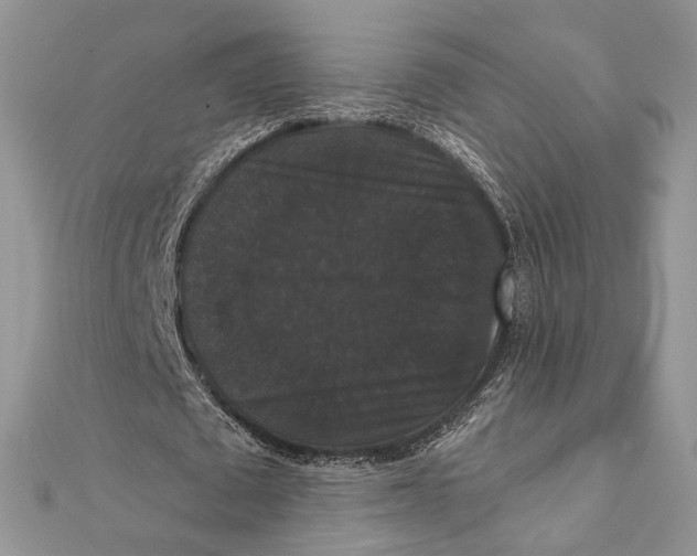 X0000111440673200908031353