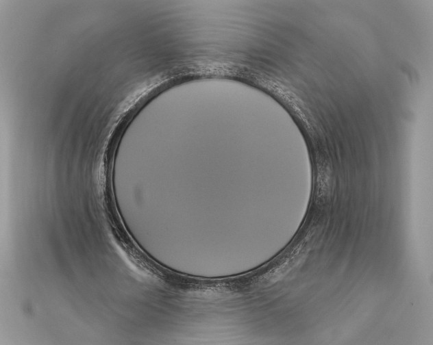 X0000111440674200908031353