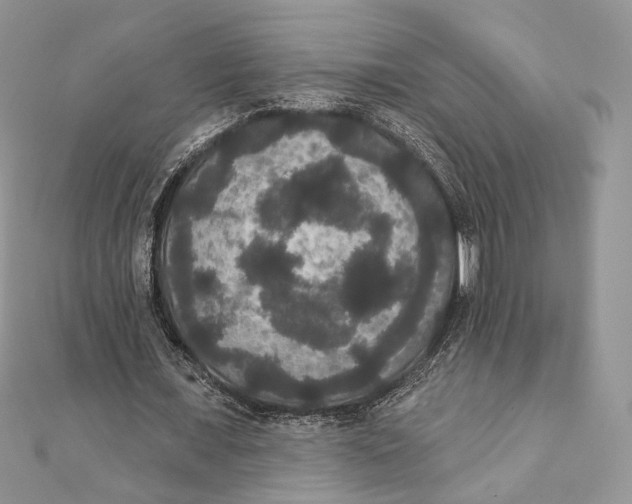 X0000111440675200908031353