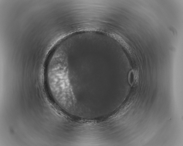 X0000111440676200908031353