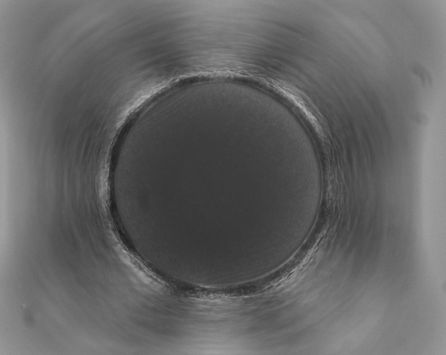 X0000111440677200908031353