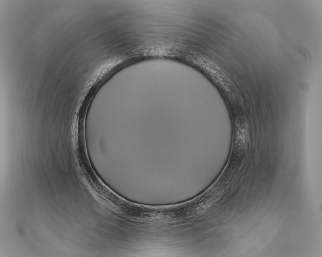 X0000111440678200908031353