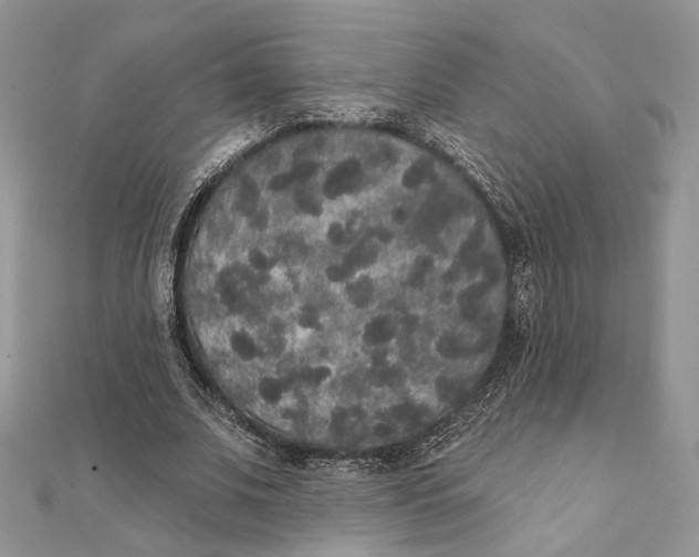 X0000111440679200908031353