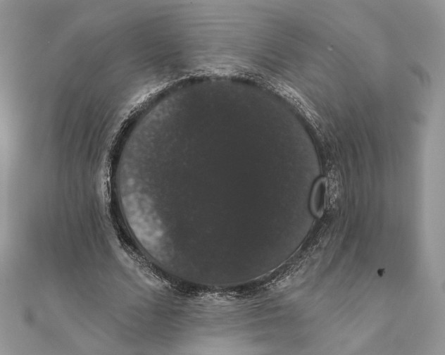 X0000111440680200908031353