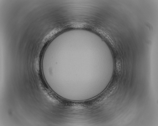 X0000111440682200908031353