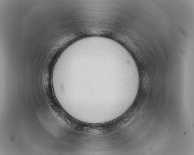 X0000111440683200908031353