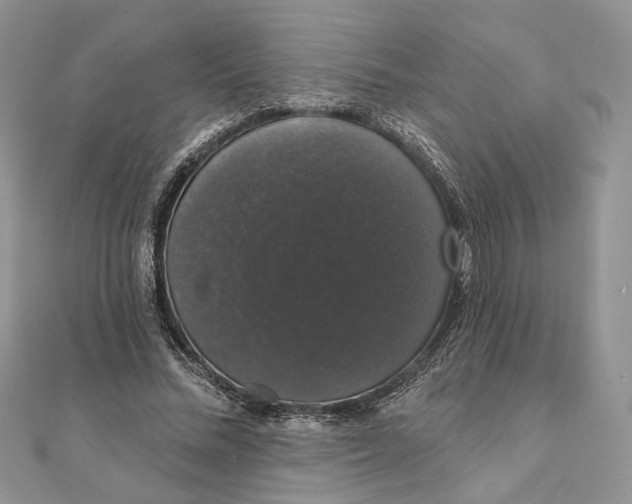 X0000111440684200908031353