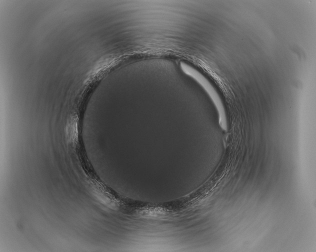 X0000111440685200908031353