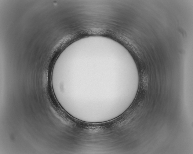 X0000111440686200908031353