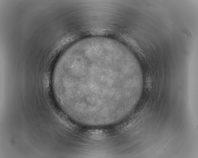 X0000111440687200908031353