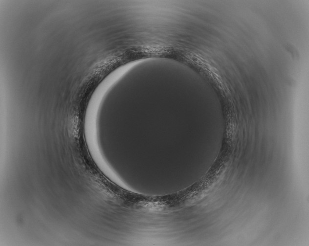 X0000111440689200908031353