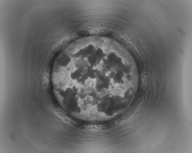 X0000111440691200908031353