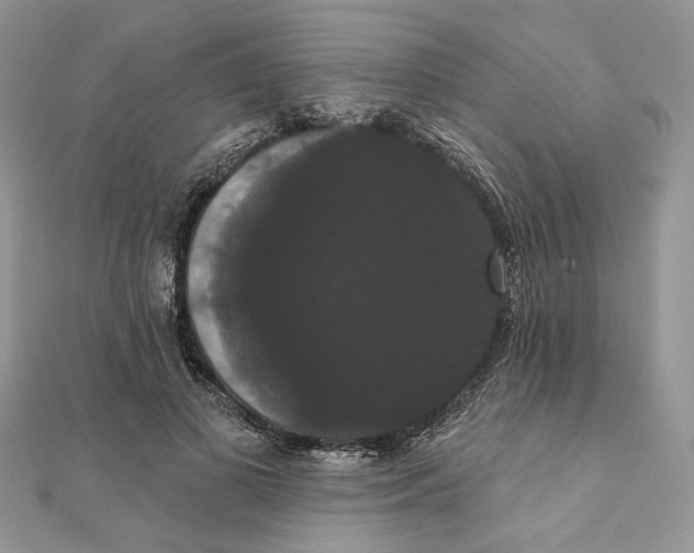 X0000111440693200908031352