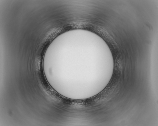 X0000111440694200908031352