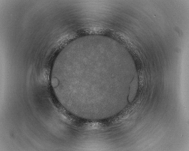 X0000111440695200908031352