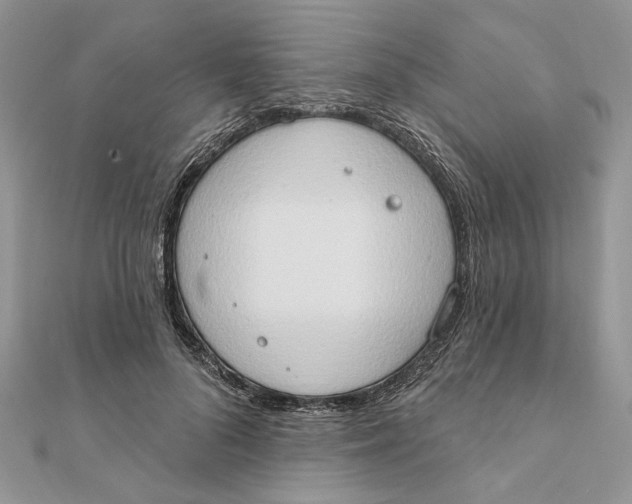 X0000111440696200908031352