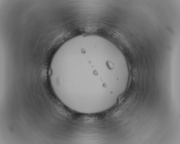 X0000111440697200908031352