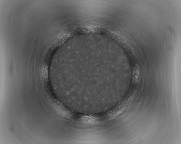 X0000111440699200908031352