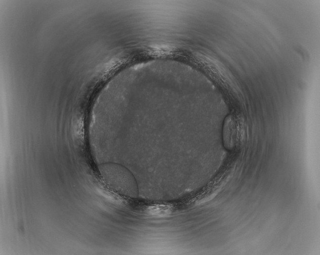 X0000111440700200908031352