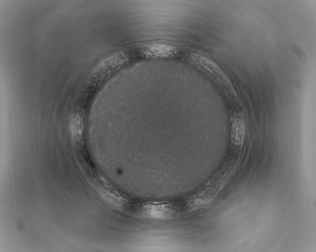 X0000111440701200908031352