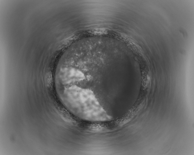 X0000111440704200908031352