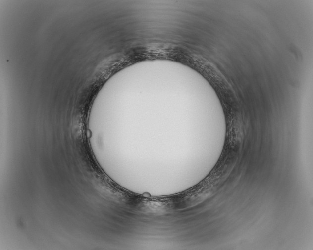 X0000111440706200908031352