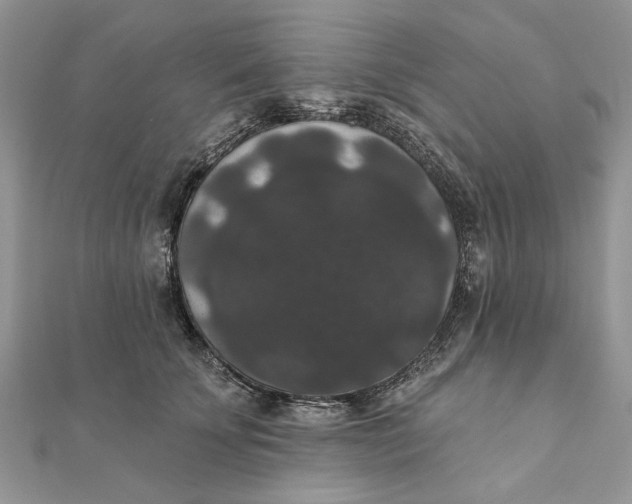 X0000111440707200908031352