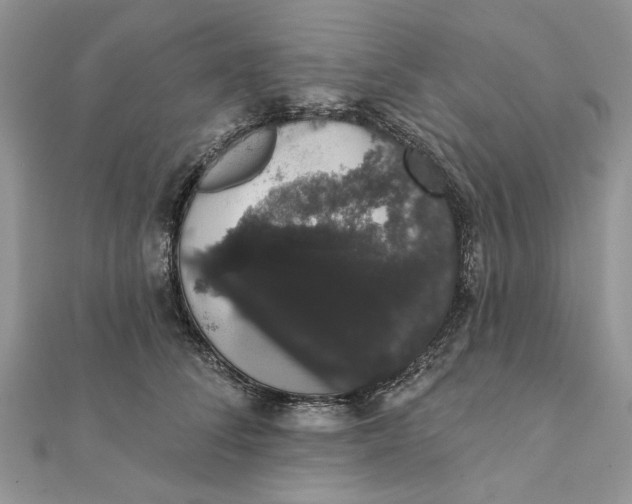 X0000111440708200908031352