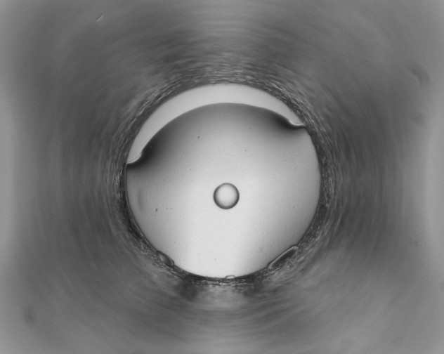 X0000111440709200908031352