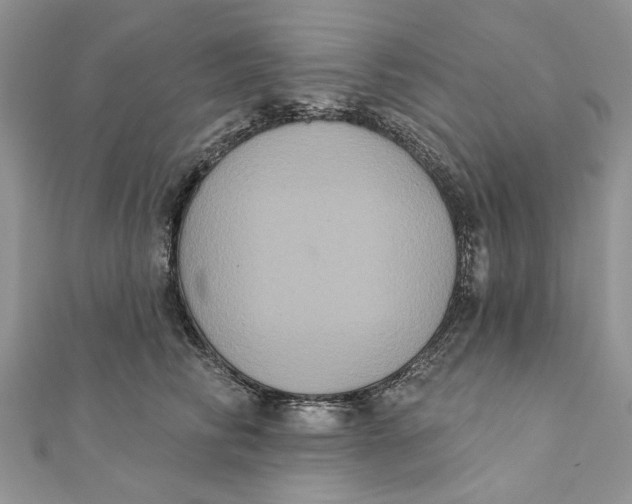 X0000111440710200908031352