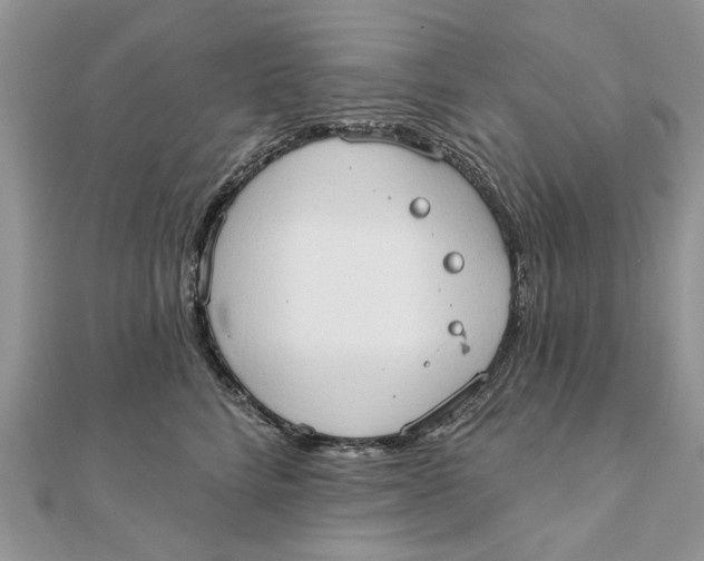 X0000111440712200908031352