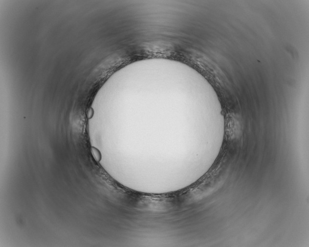 X0000111440713200908031352