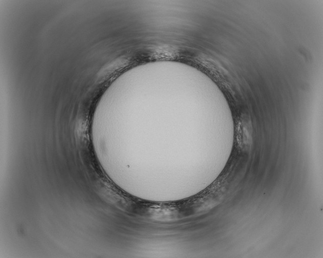 X0000111440714200908031352