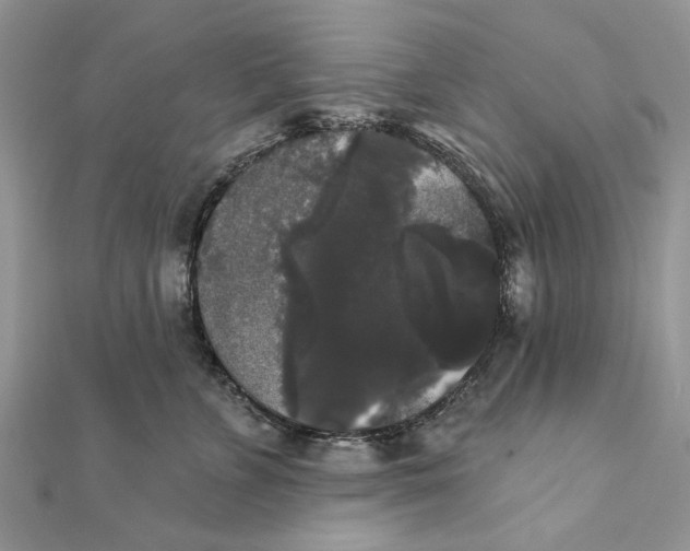 X0000111440715200908031352