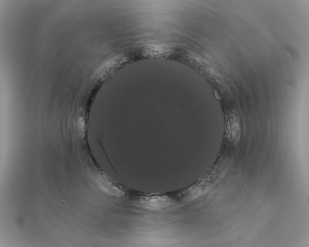 X0000111440716200908031352