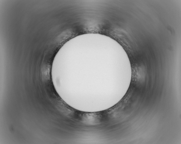 X0000111440717200908031352