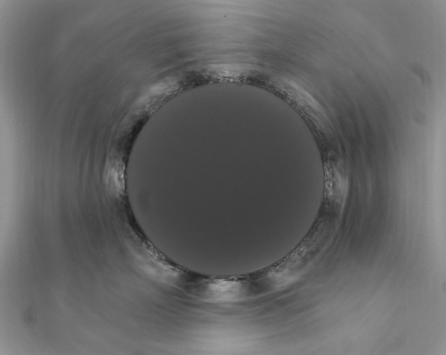 X0000111440718200908031352