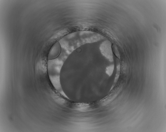 X0000111440719200908031352