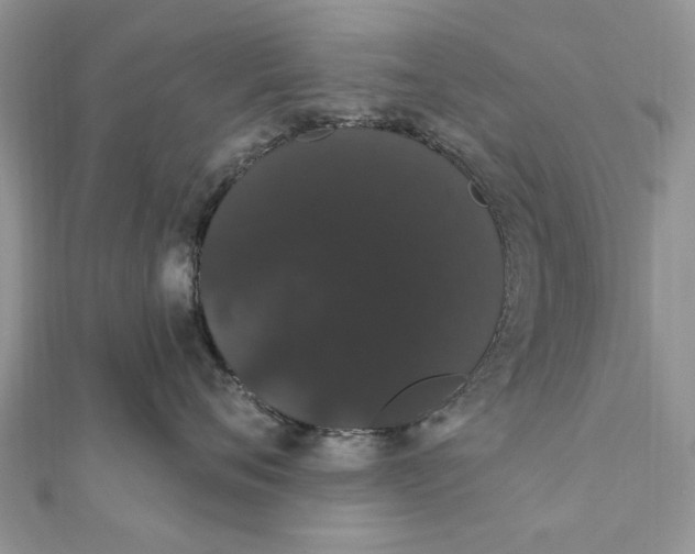 X0000111440720200908031352