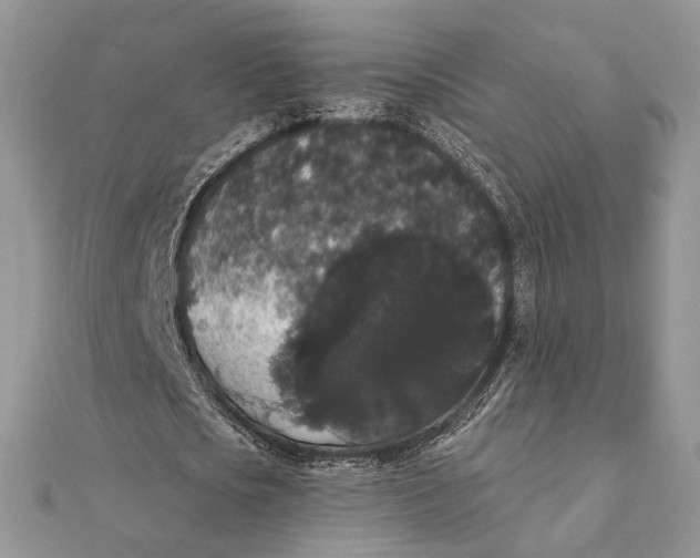 X0000111440721200908031352