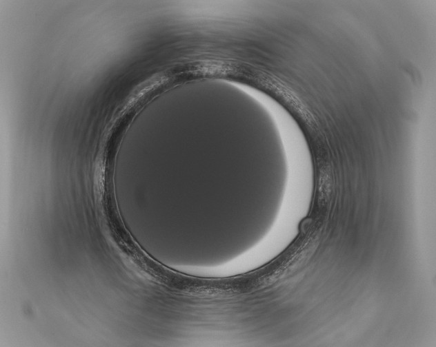 X0000111440722200908031352