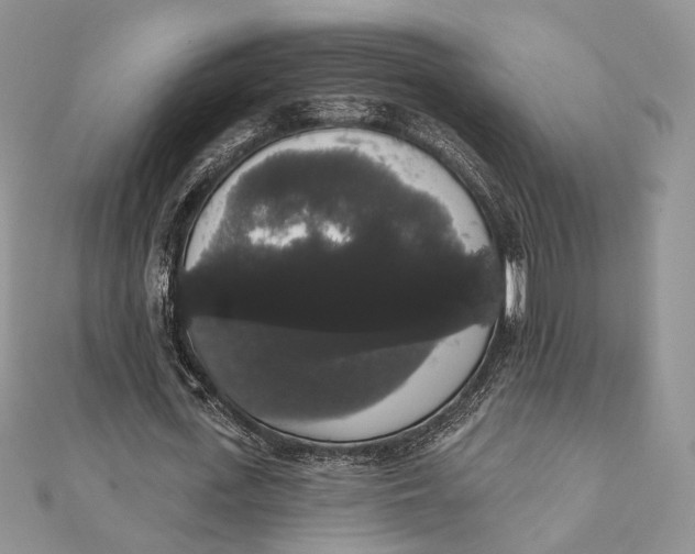 X0000111440723200908031352