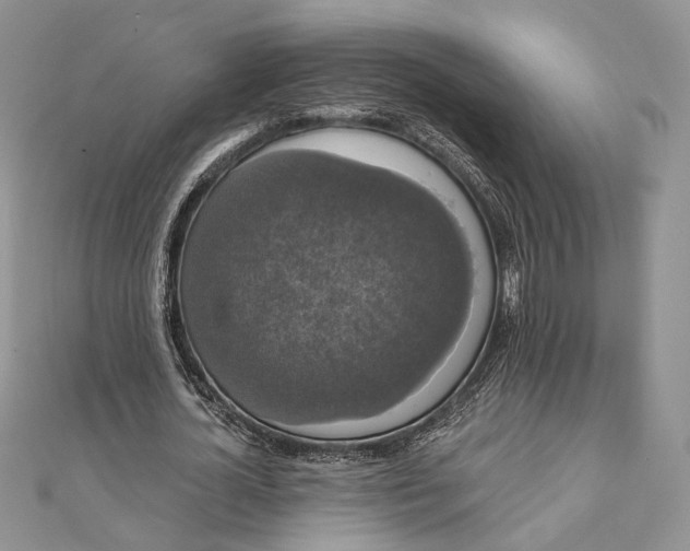 X0000111440724200908031352