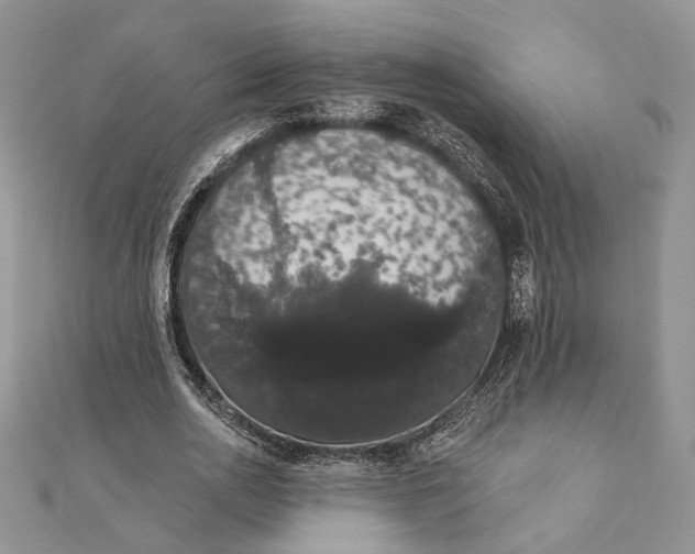 X0000111440726200908031352