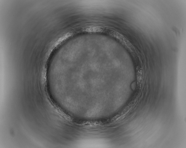 X0000111440727200908031352