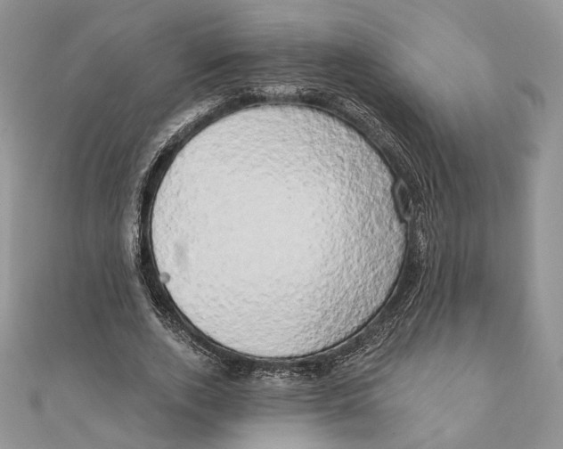 X0000111440728200908031352