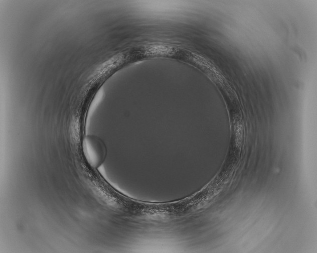 X0000111440729200908031352