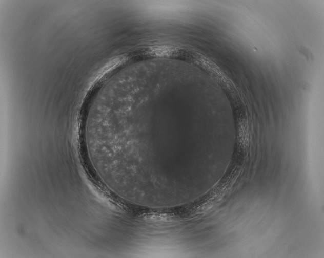 X0000111440730200908031352