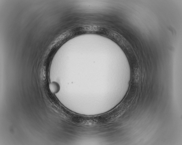 X0000111440731200908031352