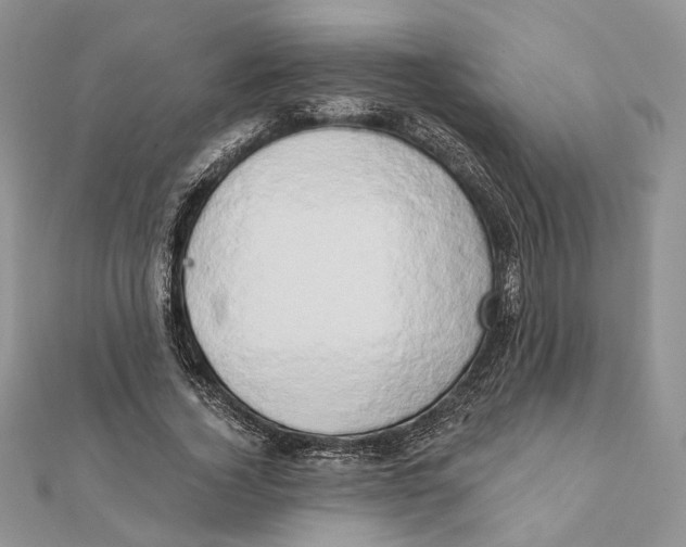 X0000111440732200908031352